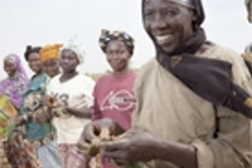 201403Gender Poverty