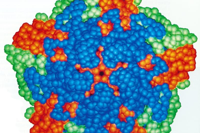 5sided_FMDV_300_dpi_Copyright_Institute_for_Animal_Health_UK