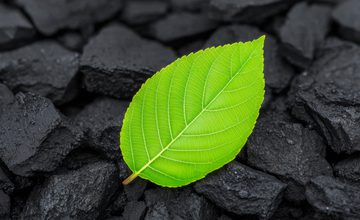 Adobe Stock 1336810737