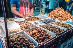 Adobe Stock 257881935 Insects