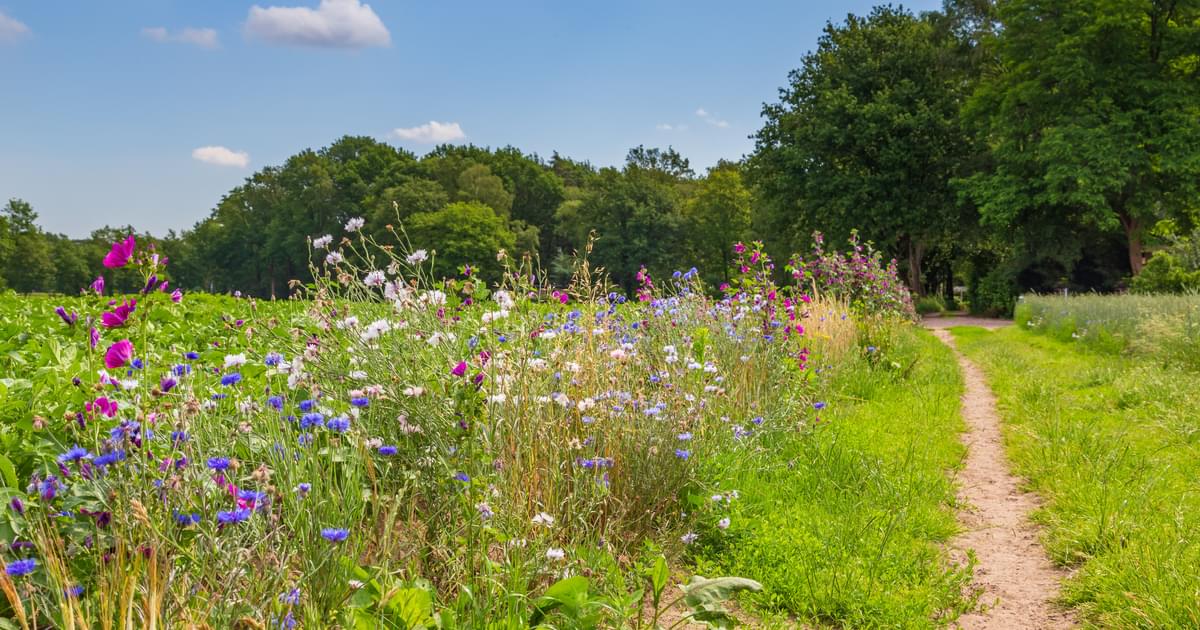 Biodiversity and Society