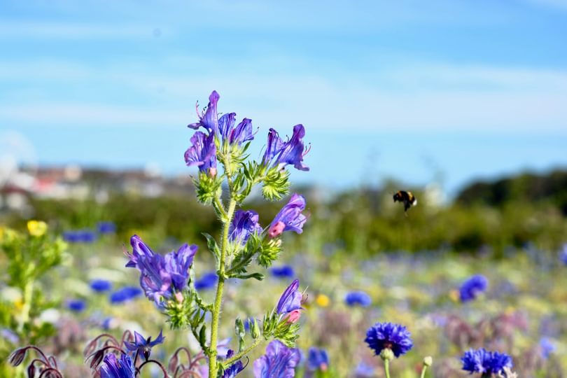 Adobe Stock 371027794