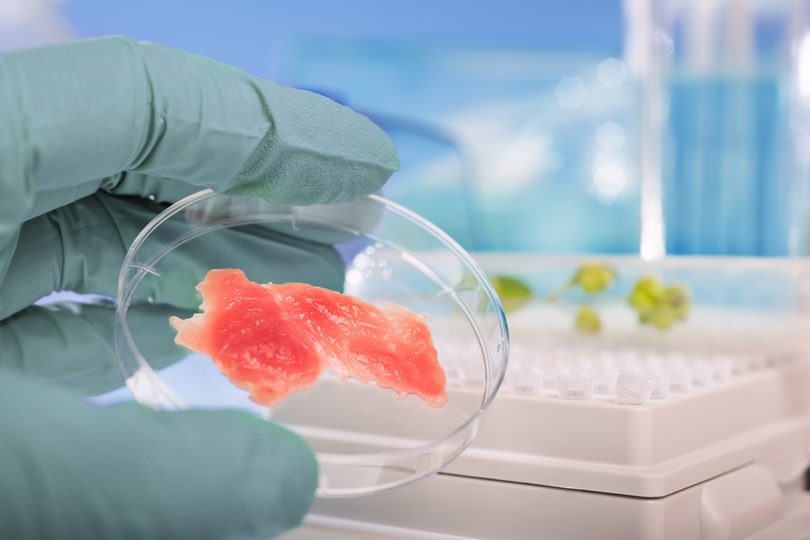 Adobe Stock_79850354_Cultured_meat