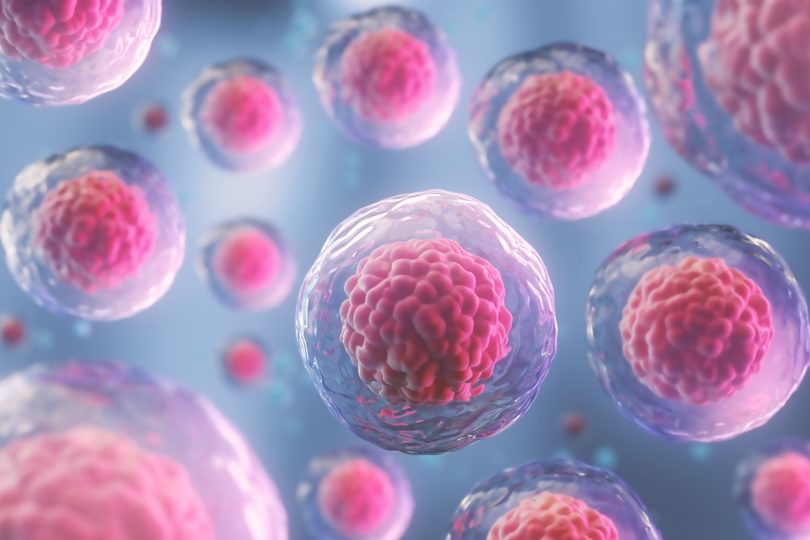 Adobe Stock Anusorn Stem Cell