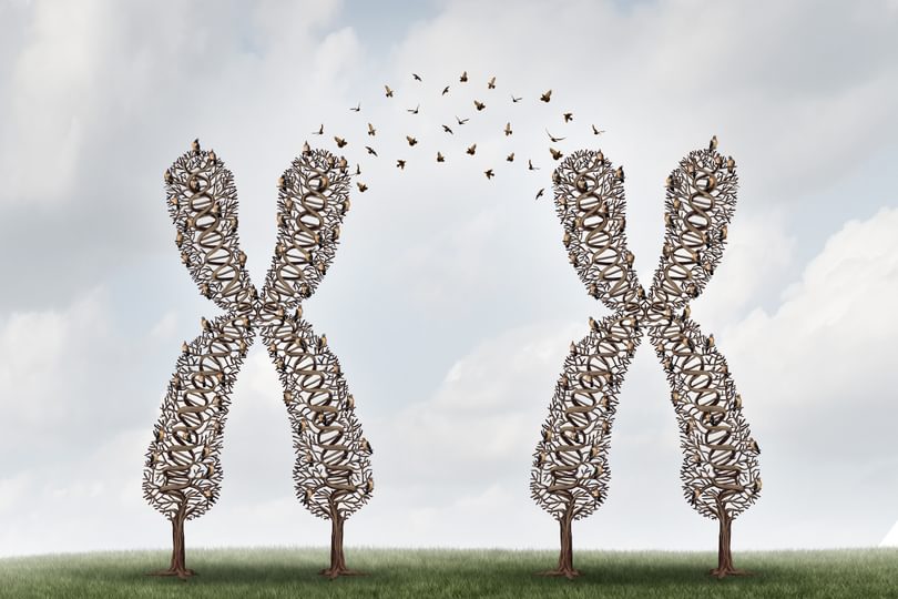 Adobe Stock freshidea recombination