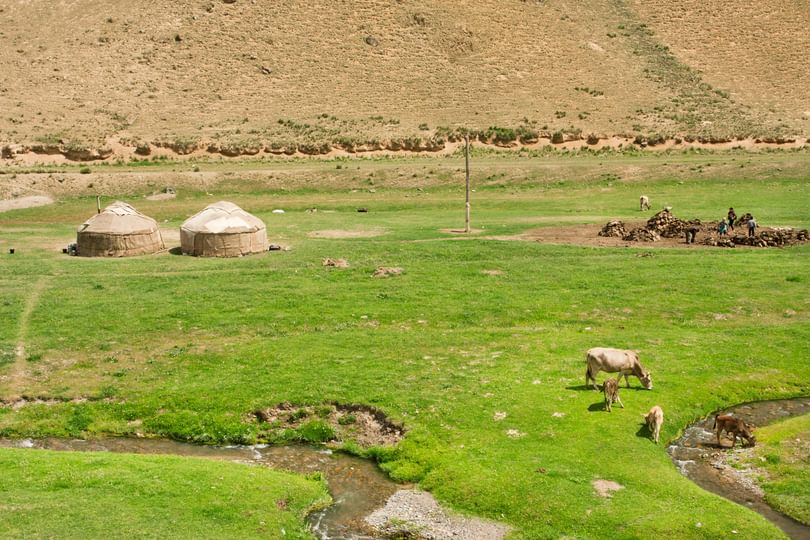 Adobe Stock radiokafka Farm Kyrgyzstan