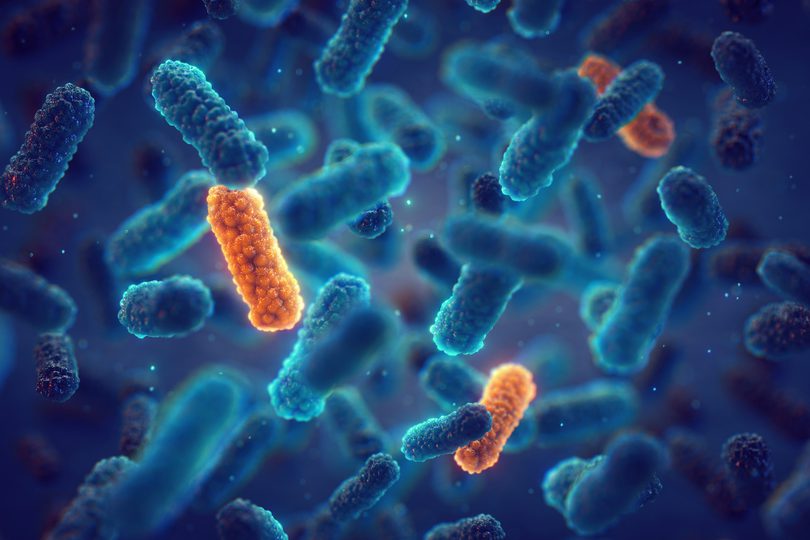 Microscopic 3D illustration of rod-shaped bacteria, with several glowing orange bacteria standing out among blue ones, symbolizing antimicrobial resistance or bacterial diversity