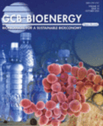 Bioenergy