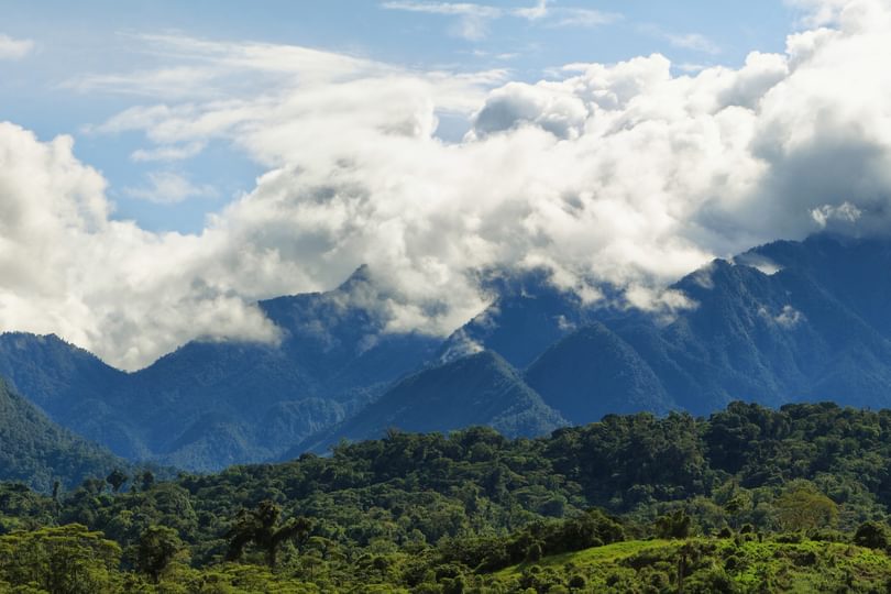 Climate_Partnership_Adobe Stock_estivillml