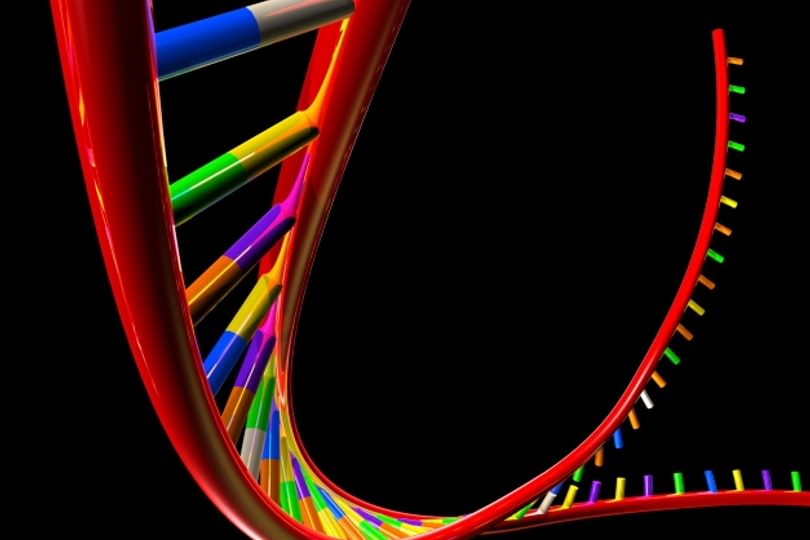 DNA