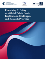 Examining AI Safety