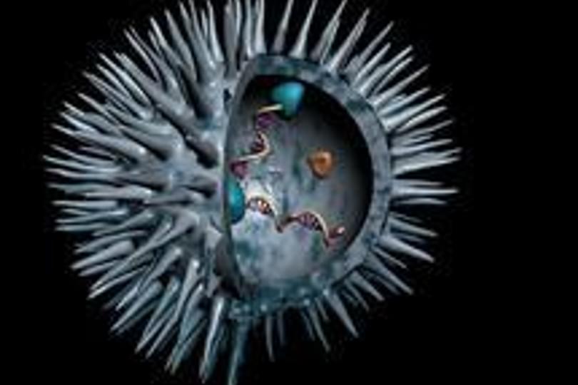 HIV_viron-Ox Uni