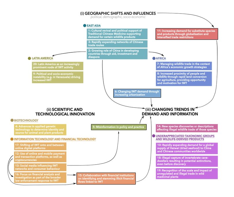 IWT HS Fig2 R
