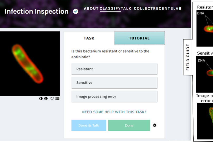 Infection Inspection 2