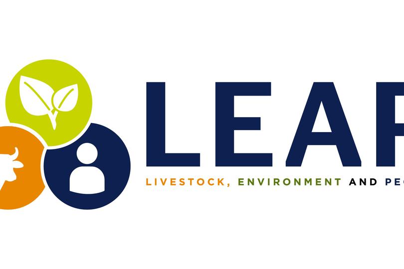 LEAP Primary Logo