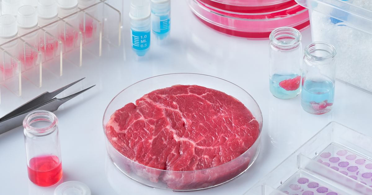 Lab-grown meat’s promise for cutting climate… | Oxford Martin School