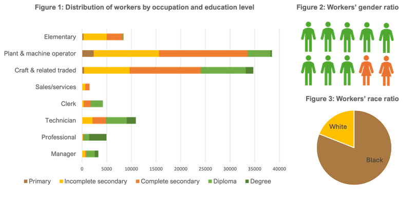 Labour market profiles and demographics of South African coal mining workers