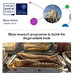Oct Newslettercrop