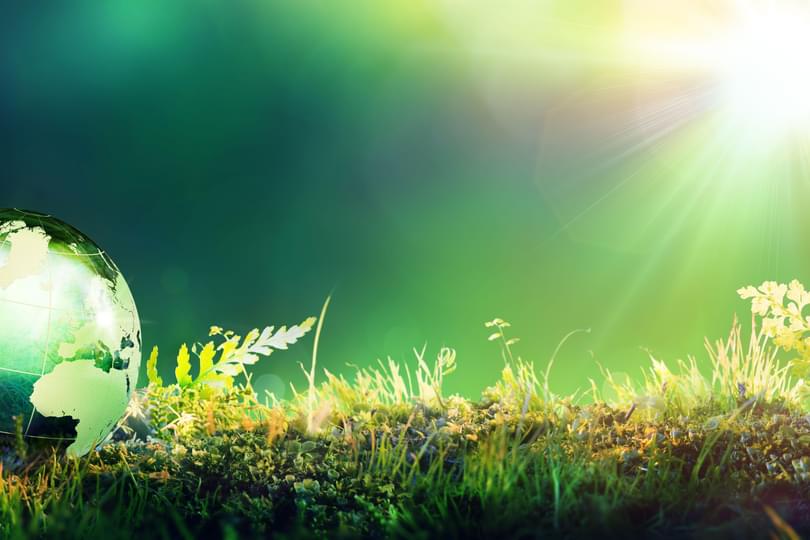 Planet on grass Adobe Stock 106029618