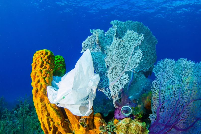 Plastics_in_Ocrean_Adobe Stock_193885664