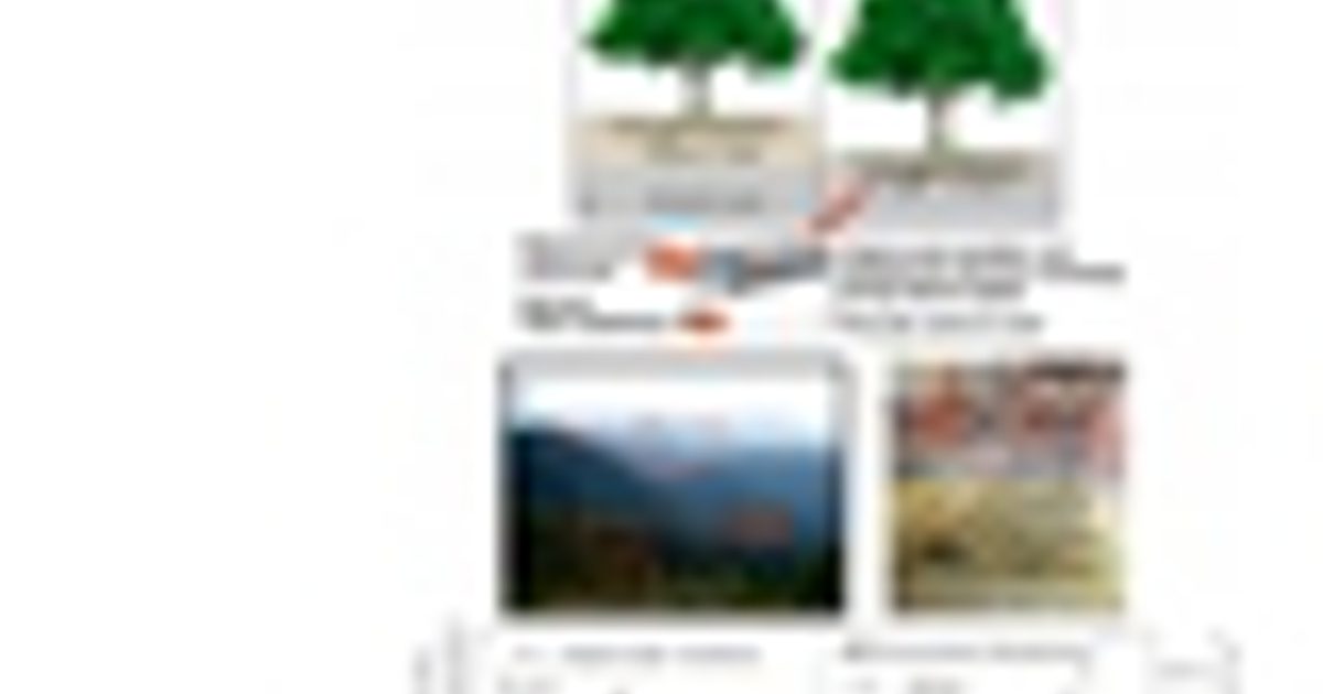 Do Mountains Roots How tree roots in tropical mountains have… | Oxford Martin School
