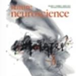 201402 Nature Neuroscience