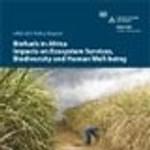 Biofuels Africa