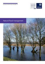 170315 restatement04 natural flood management