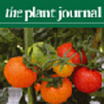 Theplantjournal