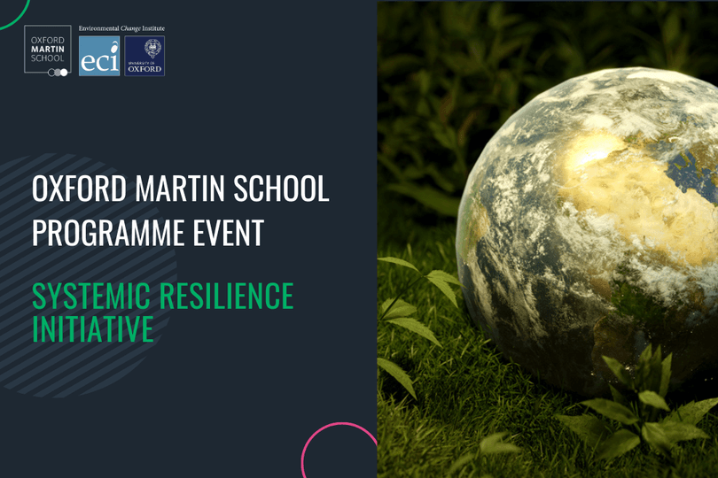 Systemic Resilience event