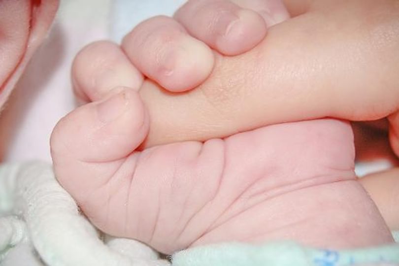 Baby 428395 19201 banner sm
