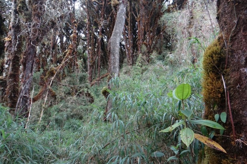 Belen fadrique 705x529