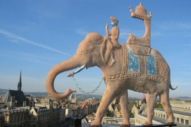 Elephant2