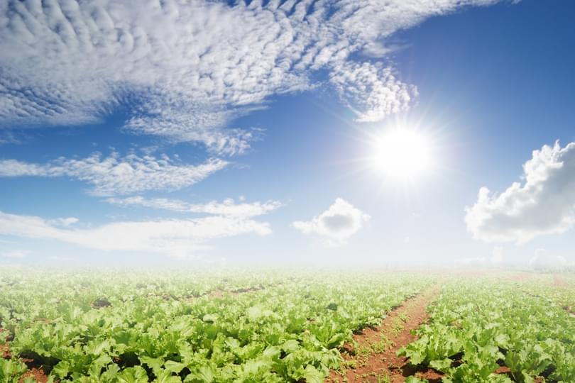 Farming