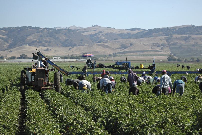 I Stock migrantworkers