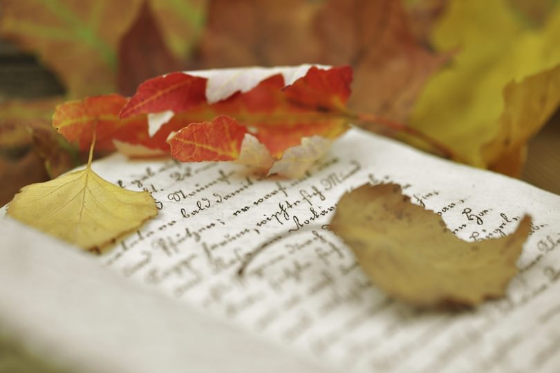 I Stock Andreja D Autumsleavesdiary