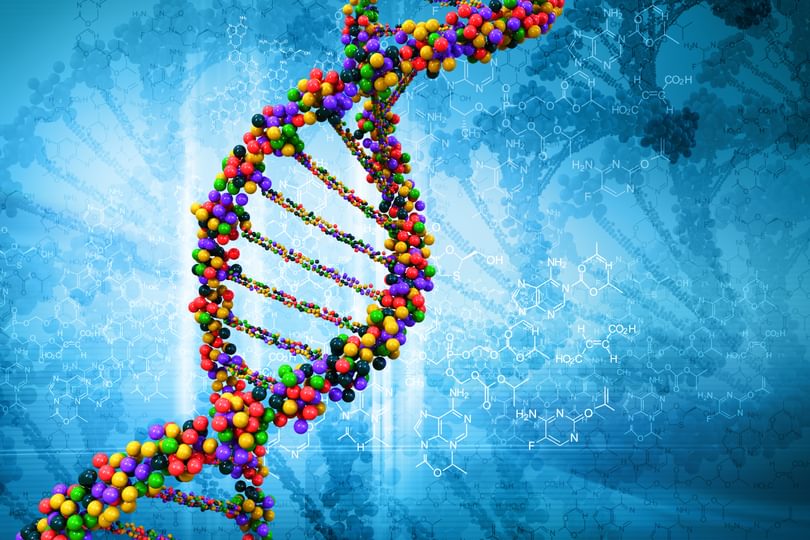 I Stock DNA