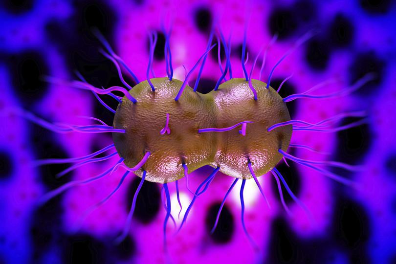 I Stock_Gonorrhea