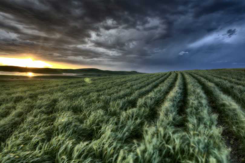 I Stock bobloblaw stormycrops