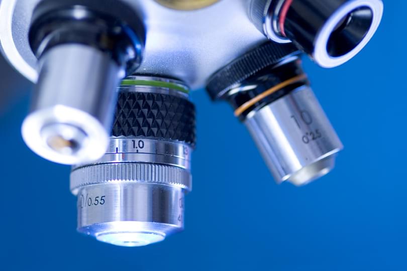 I Stock dra schwartz microscope