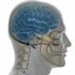Inst mind