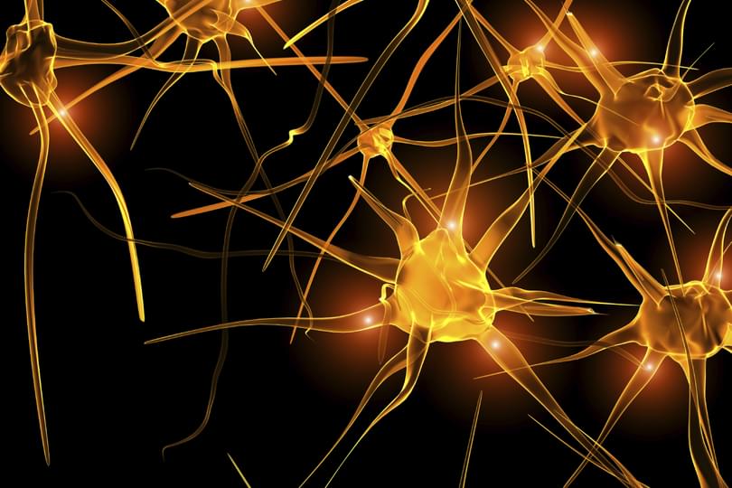 Neuron-i Stock_000004646701Large