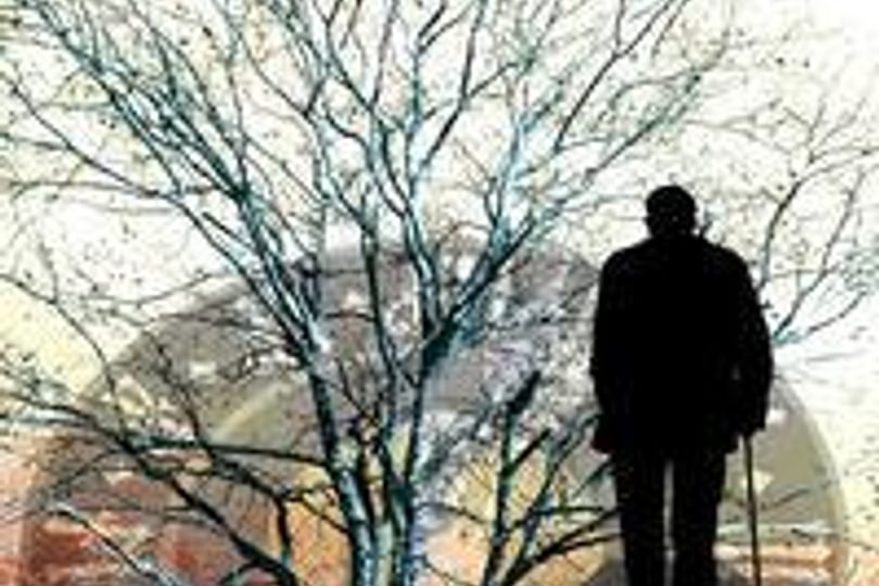 Tree 97986 960 720 square md