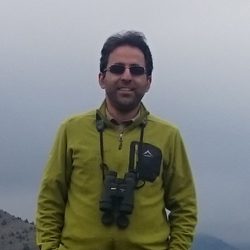 Mohammad Farhadinia